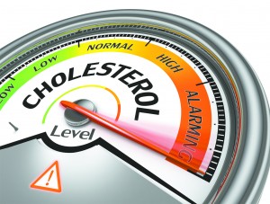 Keeping Your Cholesterol Levels in Check