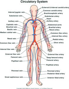 Arterial and Venous Circulation Dangers