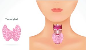 Making Sense of Ineffective Treatment(s) of the Thyroid Gland 