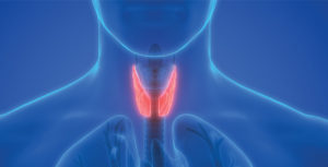 20 Million Americans have Thyroid Disorders