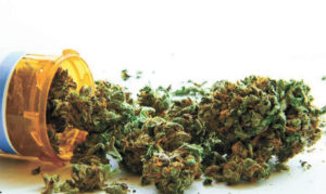 Medical Marijuana The Natural Alternative