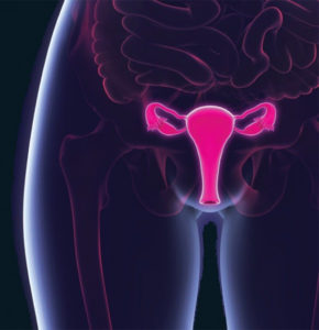 Cervical Cancer Awareness:  What You Need to Know