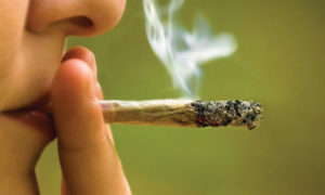 The Benefits of Smokable Cannabis