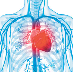 Minutes Count: Recognizing the Signs & Symptoms of a Stroke Saves Lives! 