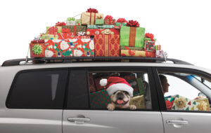 5 Holiday Travel Tips from  Rivers Family Medicine
