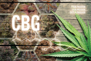 You’ve Heard of CBD, But  What About CBG?