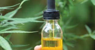 Which form of CBD is Right for You