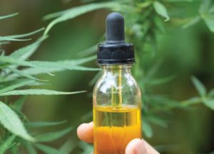 Which form of CBD is Right for You