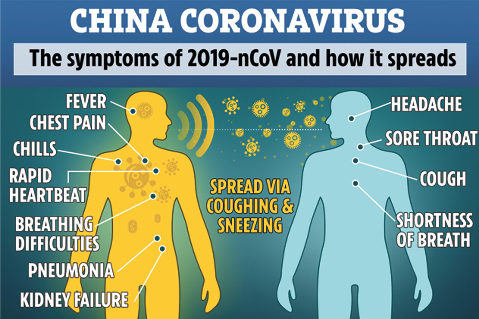Worried About The Coronavirus