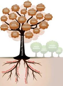 Insulin Resistance and Obesity