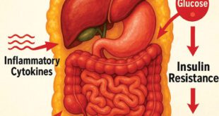 Visceral Fat
