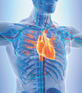 Vascular and Thoracic Surgery 