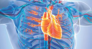 Vascular and Thoracic Surgery