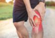Knee Pain: Genicular Artery Embolization