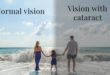 Seeing Clearly