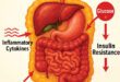 Visceral Fat