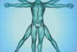 Hearing & Whole-Body Health