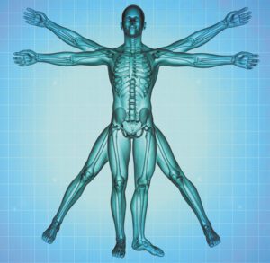 Hearing & Whole-Body Health