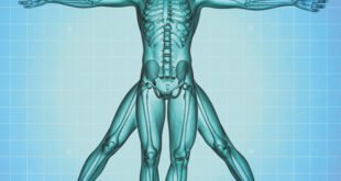 Hearing & Whole-Body Health